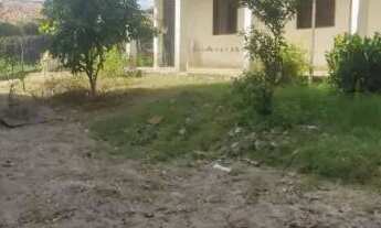 Imagem: Vendo - Santa Maria