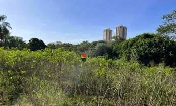 Imagem 4: Área de uso residencial ou comercial em Bonfim Paulista, com 15.391,50m² à venda em Ribeir