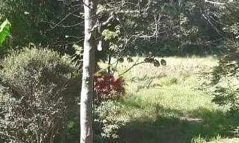 Imagem 3: Chácara - Bom Retiro - 2 Dormitórios - 13.000m² - excelente localização com churrasqueira