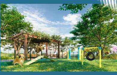 Imagem 7: Lote Jardins Miami 229m²