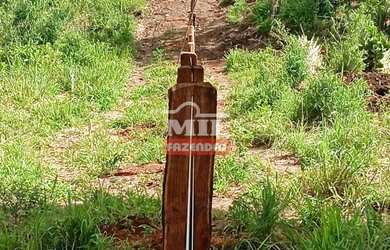 Imagem 7: Fazenda em Montividiu do Norte 57 Alqueires (275,8 Hectares) - GO