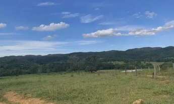 Imagem 3: Fazenda em Paracatu MG de 213 hectares com 70 hectares de área plana ideal para criação de