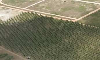 Imagem 4: Terreno Loteamento Coqueiral Santa (1.320 m²