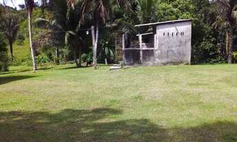 Imagem 5: Sítio 300 x 1.100 na am 010 km 83 Rio Preto da Eva 1.700.000