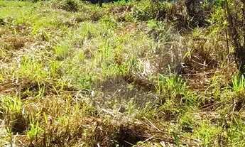 Imagem 3: Terreno à venda em Itaipu - RJ