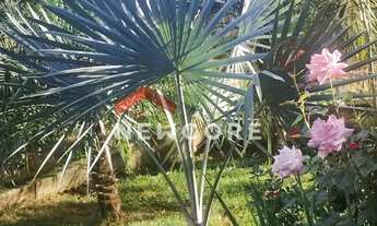 Imagem 2: Sítio em 7 - Tijuco (Melo Viana) - Esmeraldas/MG