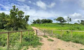 Imagem 3: OPORTUNIDADE FAZENDA EM GOIAS VELHO !!!!