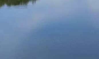 Imagem 3: Vendo Fazenda em São João da Aliança / Goiás!!!