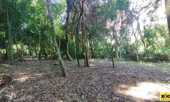 Imagem 7: Terreno para Venda em Picada Café, Floresta
