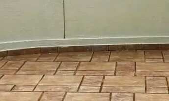 Imagem 6: Casa para Locação no Jardim Petrópolis