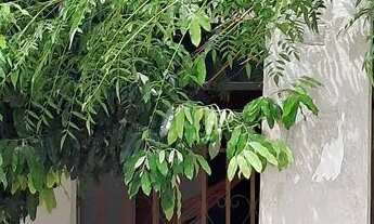 Imagem 2: Vende-se casa domiciliar em avenida