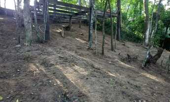 Imagem 5: Terreno em Condomínio, Engenho do Mato, 460m2 Vale conferir mesmo
