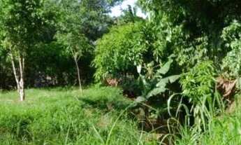 Imagem: Terreno 540m2 amplo ótimo para construir