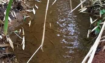 Imagem 4: 2 alqueires de terra