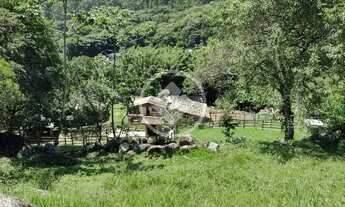 Imagem 4: Sítio em Jurerê SC codigo: 85999