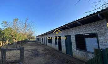 Imagem 5: Salomone vende Lindo Sítio de 2 hectares na RS040