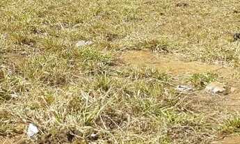 Imagem 5: 2 Lotes a venda, 360m² cada um - Residencial Jardins Do Cerrado 2 - Goiânia/GO