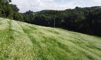 Imagem 5: TERRENO PARA FORMAÇÃO DE CHÁCARA PRÓXIMO AO CENTRO DE CAMPO LARGO