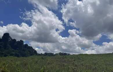 Imagem 2: VvvImagine acordar todos os dias com o som da natureza e ter um espaço exclusivo para cons