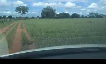 Imagem 7: SITIO 60 HECTARES 13 KM DE PORTO ESPERIDIÃO-MT