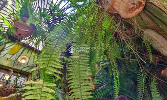 Imagem 2: Casa diferenciada, feita para pessoas exigentes. Um verdadeiro refúgio urbano no Centro Hi