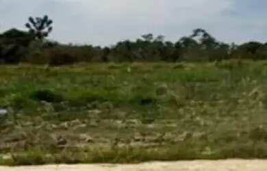 Imagem 7: Lotes na cidade de Araçoiaba - SP interior paulista