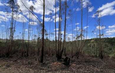 Imagem 7: Seu Terreno em Ibiúna Espera por Você Invista com Segurança