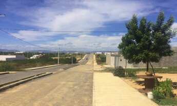 Imagem 2: 6 Lotes Bairro dos Estados Patos-PB
