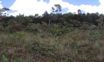 Imagem 4: Chácara de 1039 M², ótima topografia, Codigo INV 1159. R$ 35 Mil