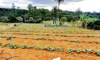 Imagem 6: Terreno com nascente e água corrente em Igarapé