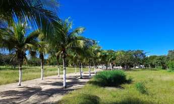Imagem 7: Fazenda 80 hectares, em Pentecoste/Ceará. Aceito troca por imóvel ou carro