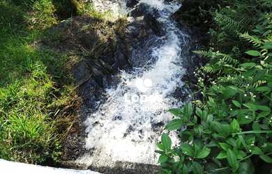 Imagem 7: Terreno à venda, 1500 m² por R$ 200.000,00 - Centro (Mailasqui) - São Roque/SP