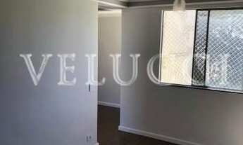 Imagem 2: Apartamento - Jardim do Vovô - Campinas