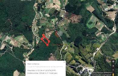 Imagem 2: CHÁCARA/FAZENDA/SÍTIO com 1 dormitório à venda com 6101.38m² por R$ 450.000,00 no bairro C