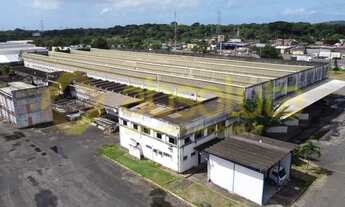Imagem 4: Galpão Para Locação em Curado - Recife - PE