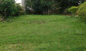 Imagem 2: Oportunidade terreno plano