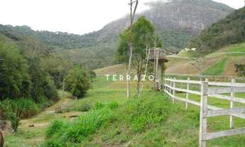 Imagem 2: BELÍSSIMA FAZENDA COM 1394000 m² NO CORAÇÃO DA TERÊ-FRI A 2KM DA RODOVIA R$ 4.000.000 - Va