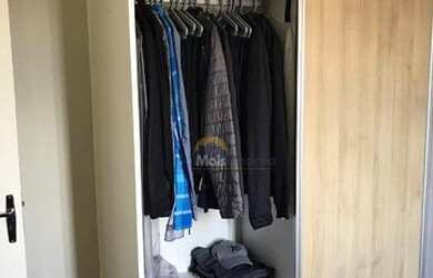 Imagem 6: ILHAS CANÁRIAS - BUTANTÃ