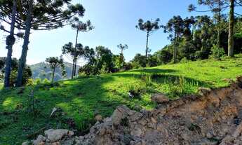Imagem 2: ANITÁPOLIS/SC - Terreno a venda a 3km do centro com 11hectares