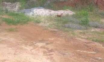 Imagem: Lote em manhumirim mg