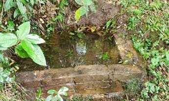 Imagem 7: Sítio no bairro Vila Oliva em Caxias do Sul!