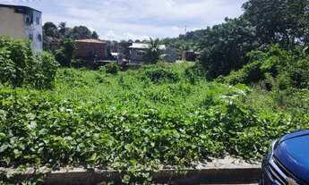 Imagem 3: Terreno em Gaibú