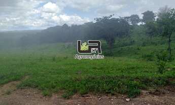 Imagem: Chacara de 1.5 Alqueires em Silvania