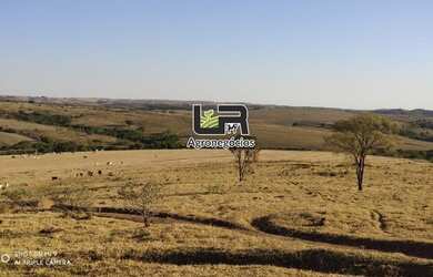 Imagem 3: Fazenda de 405 Alqueires em Ipameri