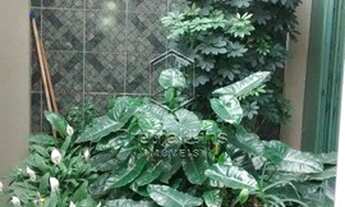 Imagem 5: CASA TÉRREA AO LADO DA IGREJA Margarida Maria - SÃO PAULO/SP