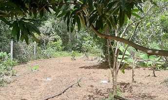 Imagem 2: Chácara vila oneida Coxipo do ouro