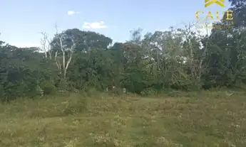 Imagem 5: OPORTUNIDADE!!! Chácara 5,1hectares em ótima localização