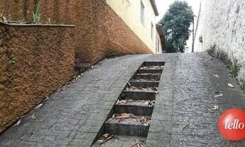 Imagem 6: São Paulo - Casa Padrão - Tucuruvi