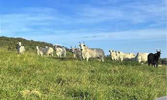 Imagem 2: De 7 milhões por APENAS R$6 milhões