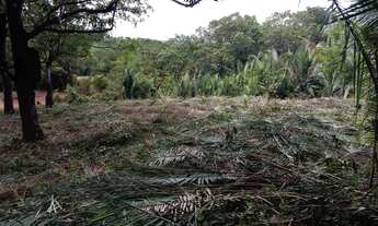 Imagem 4: Terreno a venda avenida principal do Cajueiro